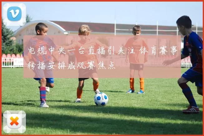 电视中央一台直播引关注 体育赛事转播安排成观赛焦点
