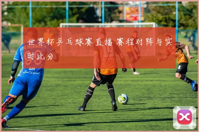 世界杯乒乓球赛直播 赛程对阵与实时比分