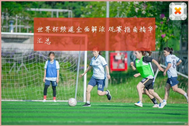 世界杯频道全面解读 观赛指南精华汇总