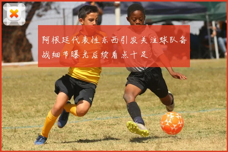 阿根廷代表性东西引发关注球队备战细节曝光后续看点十足