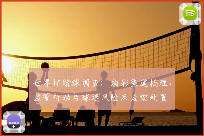 世界杯赌球调查：购彩渠道梳理、监管行动与球迷风险及后续处置