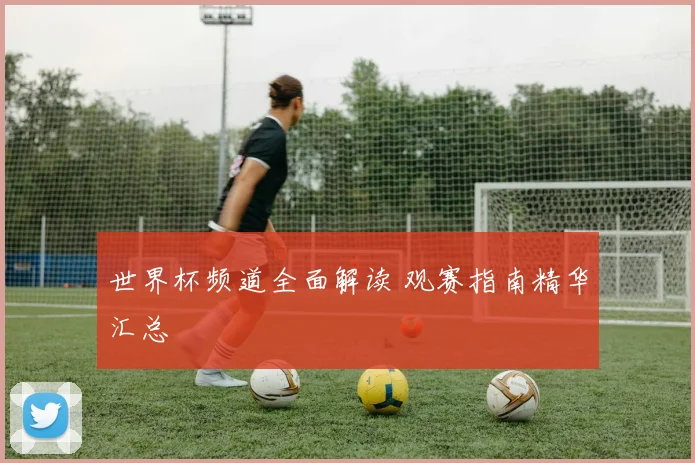 世界杯频道全面解读 观赛指南精华汇总