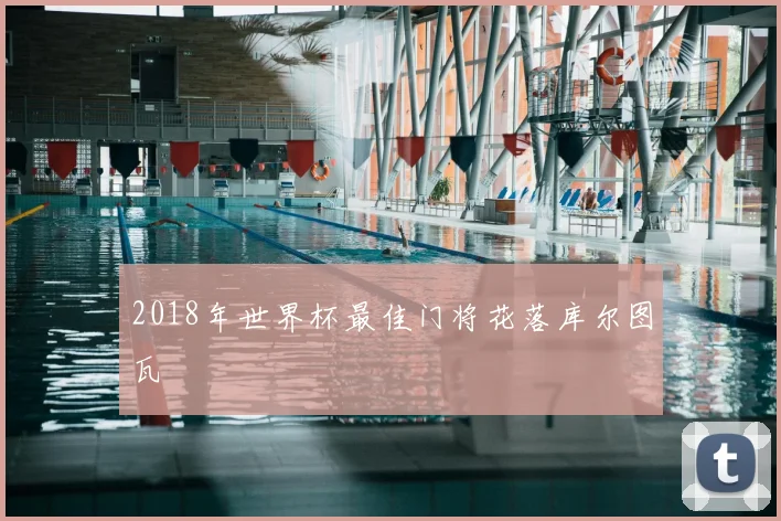 2018年世界杯最佳门将花落库尔图瓦