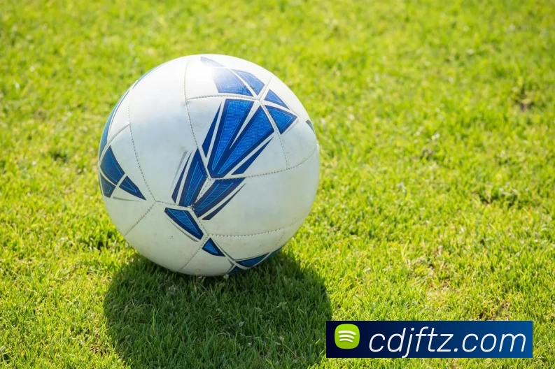 App Interface Preview